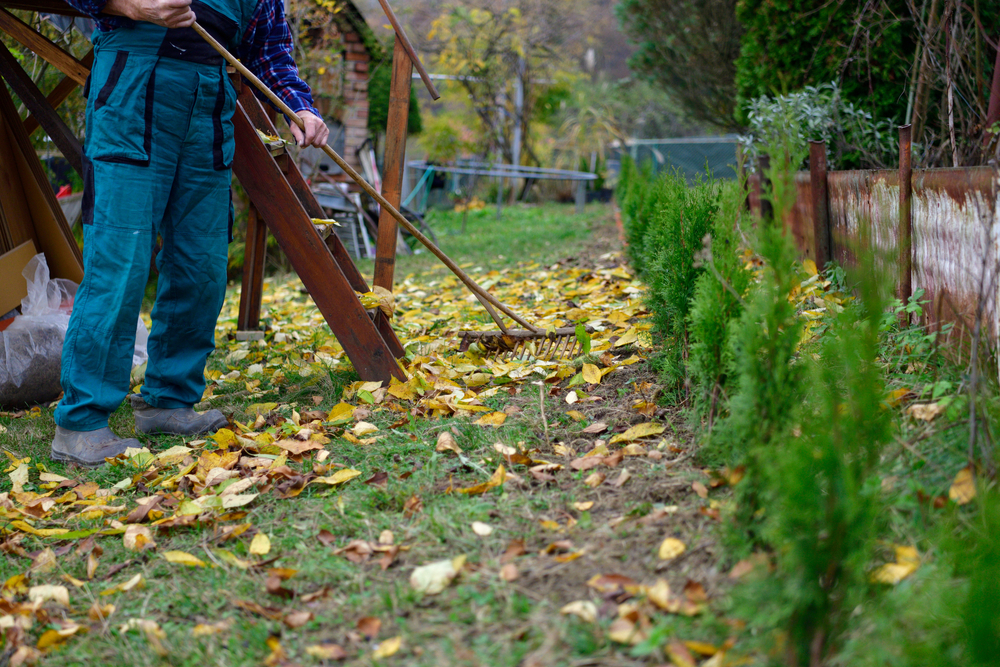 Garten2