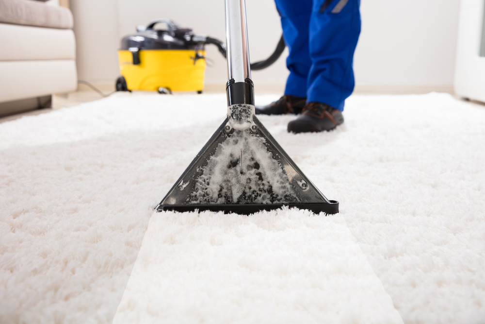 Professionelle Unterhaltsreinigung mit einem Teppichsauger, der einen weißen Teppich im hellen Wohnraum gründlich säubert.